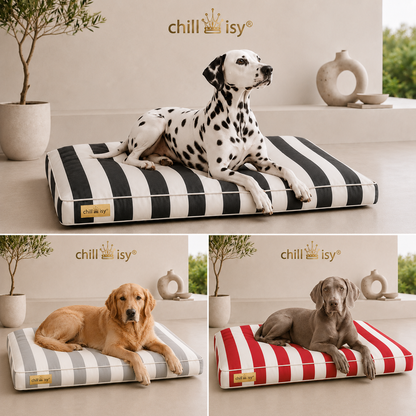 Cama para perros chillisy® COAST – cojín de lujo para perros de tela Sunbrella® Vision Coast | Hecho en Alemania