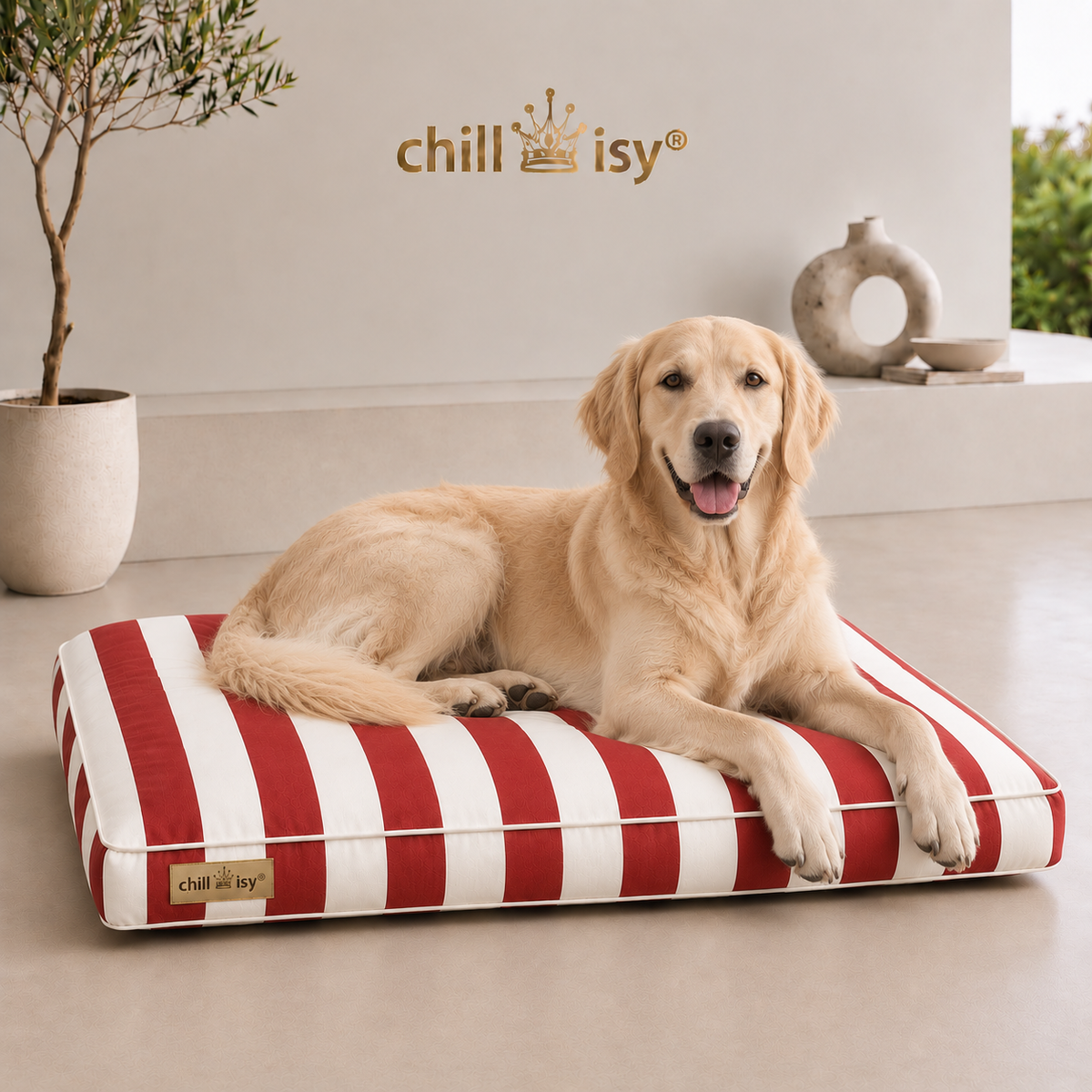 Hundekissen COSTA aus Sunbrella Textil rot weiße Blockstreifen hergestellt in Deutschland von chillisy dargestellt mit Golden Retriever