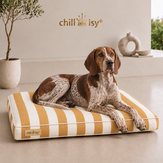 Cuccia chillisy® COAST – Cuscino di lusso per cani in tessuto Sunbrella® Vision Coast | Made in Germany