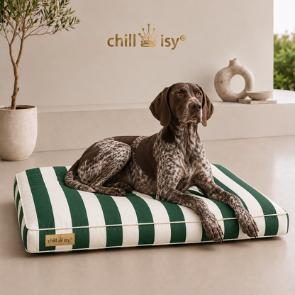 Hundekissen Hundebett in Grün Weiß gestreift für Outdoor aus Sunbrella COSTA Vision von chillisy in Deutschland genäht.