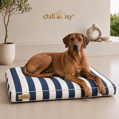 Hundebett chillisy® COSTA – Luxus Hundekissen Blau / Weiß aus Sunbrella® Stoff Vision Costa | Made in Germany