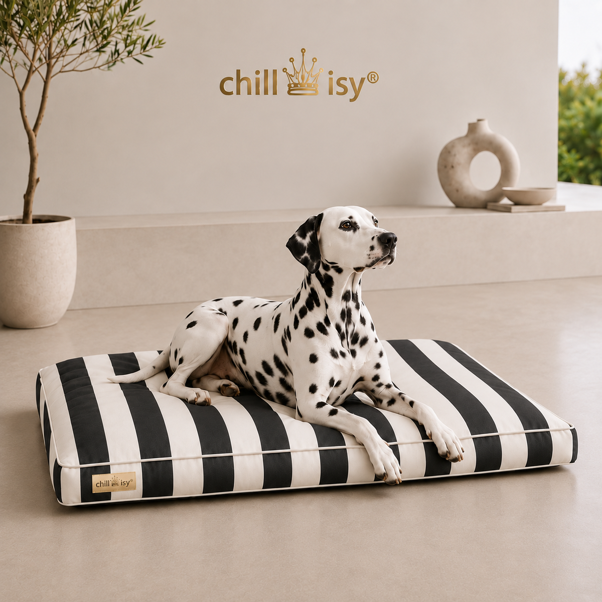 Hundekissen COAST aus Sunbrella Textil schwarz weiße Blockstreifen hergestellt in Deutschland von chillisy mit Dalmatiner präsentiert.