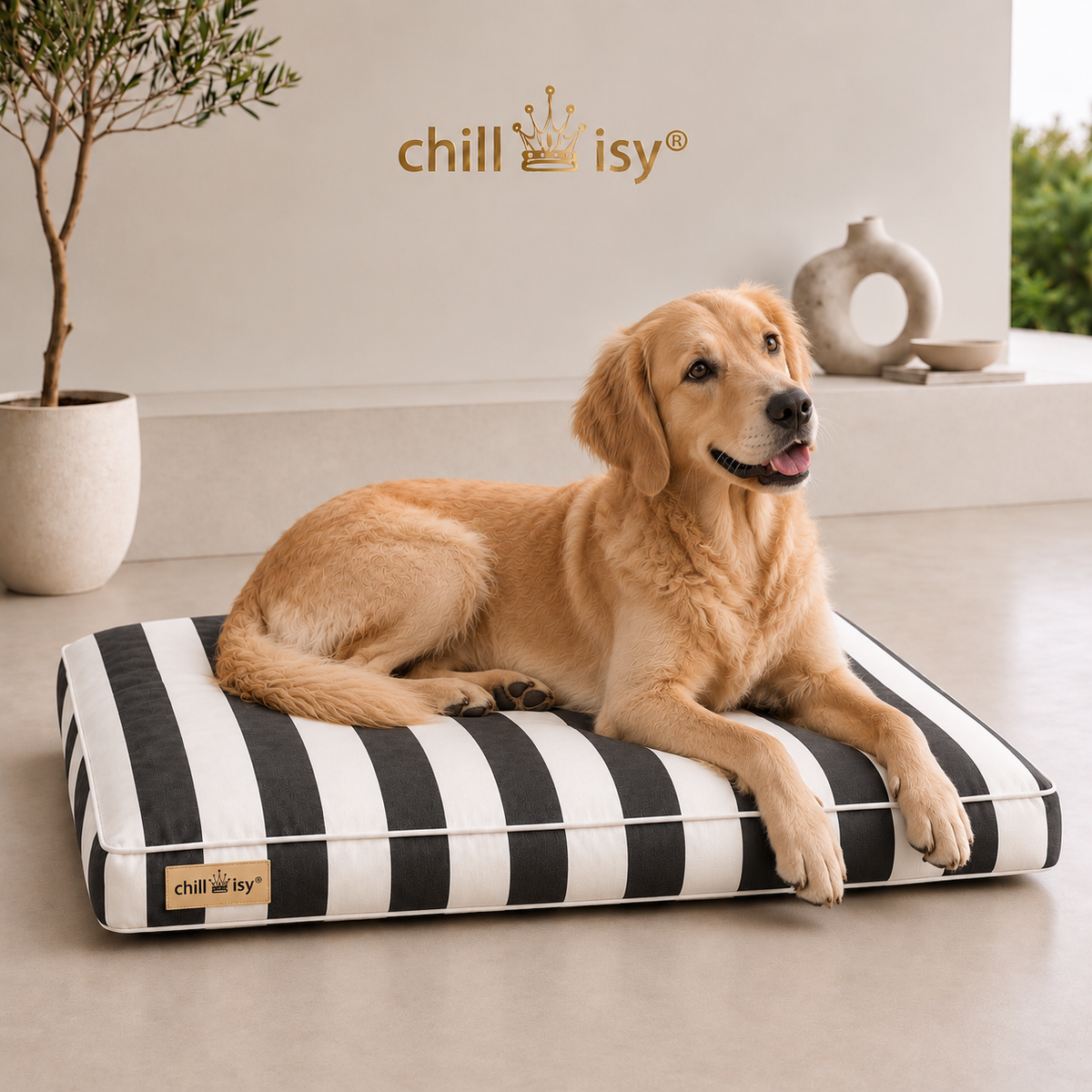 Hundekissen COSTA aus Sunbrella Textil schwarz weiße Blockstreifen hergestellt in Deutschland von chillisy mit Golden Retriever präsentiert.