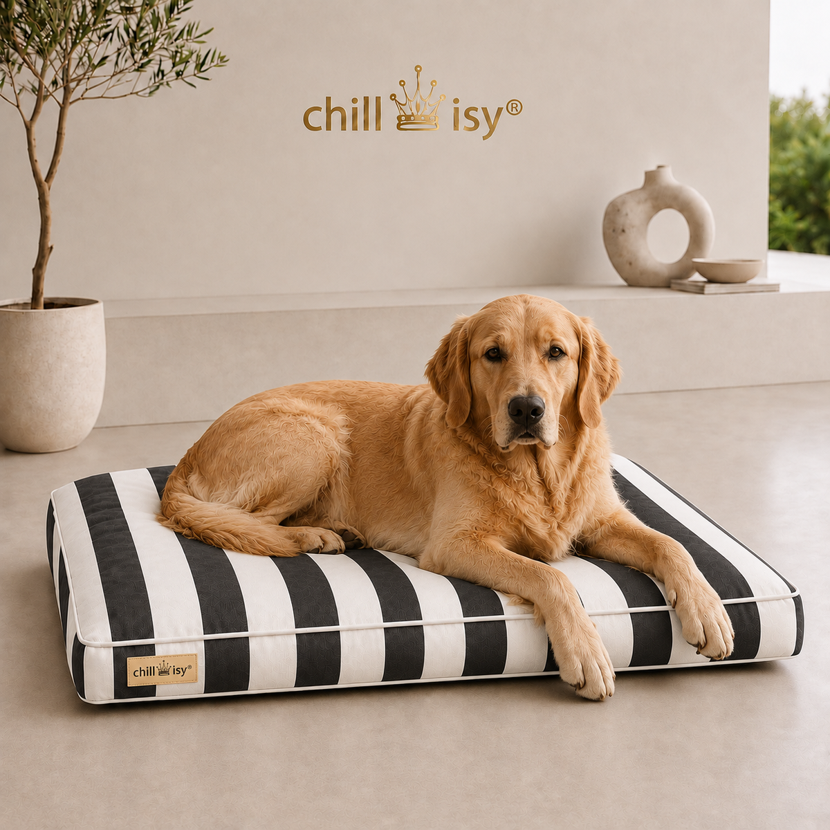 Hundekissen COAST aus Sunbrella Textil schwarz weiße Blockstreifen hergestellt in Deutschland von chillisy mit Golden Retriever präsentiert.