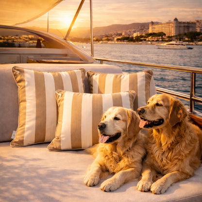 Beige weiß gestreifte Bootskissen auf Motoryacht mit Golden Retriever  - von chillisy. Die Kissen sind mit einer rostfreien Öse aus Edelstahl ausgestattet, um diese mittels Tau am Boot zu befestigen 